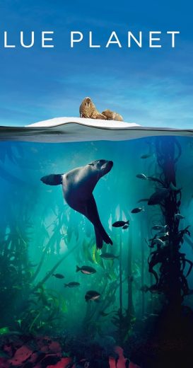 مسلسل Blue Planet II الموسم الاول الحلقة 1 مترجمة