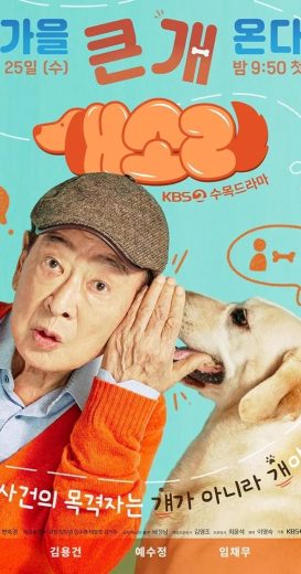 مسلسل كلب يعرف كل شيء Dog Knows Everything الحلقة 1 مترجمة