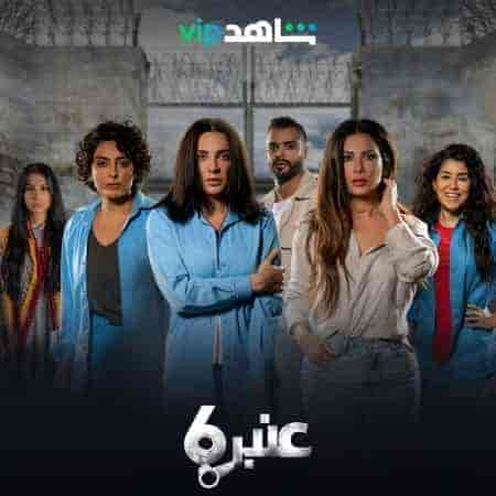 مسلسل عنبر 6 الحلقة 12 والاخيرة